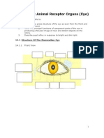 Chapter 14 Animal Receptor Organ (The Eye) - Lecture Notes