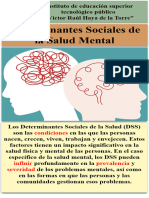 Determinantes Sociales de La Salud Mental