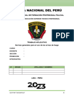 Normas Generales para El Uso de Las Armas de Fuego