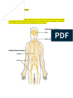 HNP - Predisposing F