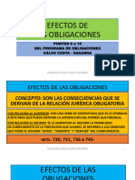 OBLIGACIONES - Efectos 6 A 14