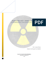 Trabajo Práctico - Energia Nuclear - Nuclear Energy