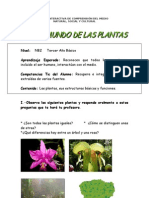 Plantas