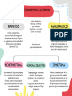 Mapa Conceptual Sistema Nervioso Autonomo