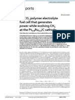 21-H2 CO2 Polymer Electrolyte Fuel Cell PT Ru C Cathode