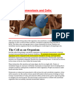 Lesson 4: Homeostasis and Cells:: The Cell As An Organism