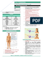 Pha 618 Lab-Male Reproductive System