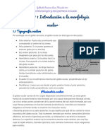 Introducción Morfología Ocular