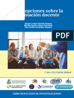 Caicedo Guevara, B. Concepciones Sobre La Formación Docente