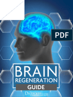 Brain Regeneration Guide