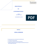 Derecho Procesal IV Raúl Montero López (Segundo Semestre 2023)