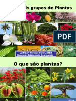 AULA Botanica 2023