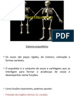 Sistema Esquelético - Simplificado - Anatômia