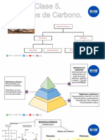 Guia Bio 5