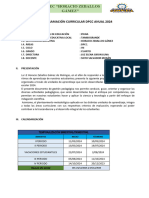 Programación Curricular DPCC 2024