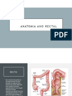 ANATOMIA ANO RECTAL - MARZO 2023 - Ori