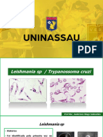 Aula 4 Parasitilogia Leishmania e Trypanossoma