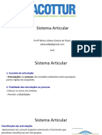 03sistema Articular