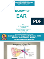 Anatomy of Ear