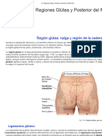 Regiones Glútea y Posterior Del Muslo - Enfermería