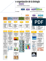 Niveles de Organización de La Biología