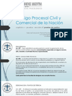 CPCCN Prueba de Peritos