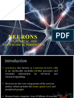 Neurons 130508030319 Phpapp01