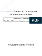 Vascularisation Innervation Membre Superieur