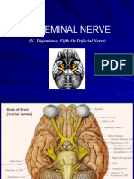 Trigeminal Nerve