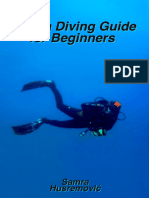 SCUBA Diving For Beginners