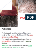 Lesson 8 PEDICULOSIS