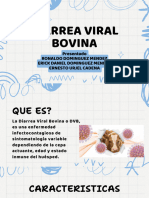 Diarrea Viral Bovina