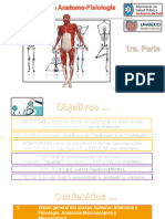 Introducción Anatomo-Fisiología - A.S.