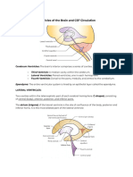 Ventricles of The Brain and CSF Circulation