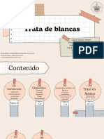 Proyecto Final Trata de Blancas