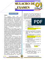 Simulacro Anual 01 - 2024 (Claves) Area B