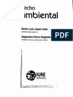 Derecho Ambiental (López Sela, Ed. IURE)