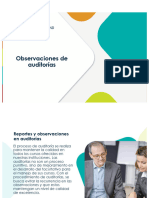 Observaciones de Auditoria