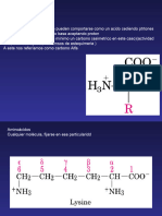 Tema 5 Aa, Peptidos y Proteinas