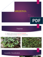 Targionia: Ajina.N S1 MSC Botany