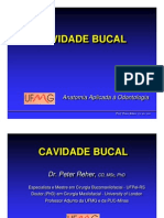 Anatomia Cavidade Bucal