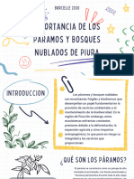 Importancia de Los Paramos y Los Bosques Nublados de Piura - 20240311 - 170538 - 0000