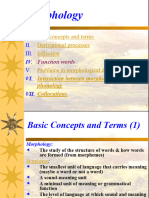 Summary of The Class - MORPHOLOGY