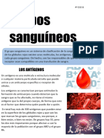 Grupos Sanguíneos