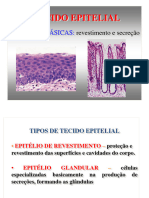 Tecido Epitelial e Glandular