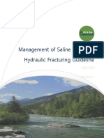 BC Oil and Gas Commission - Management of Saline Fluids For Hydraulic Fracturing