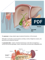 Pancreas