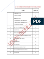 Project Distribution Channels