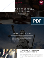 Naturaleza Del Derecho