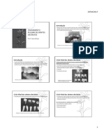 Tratamento Pulpar de Dentes Decíduos